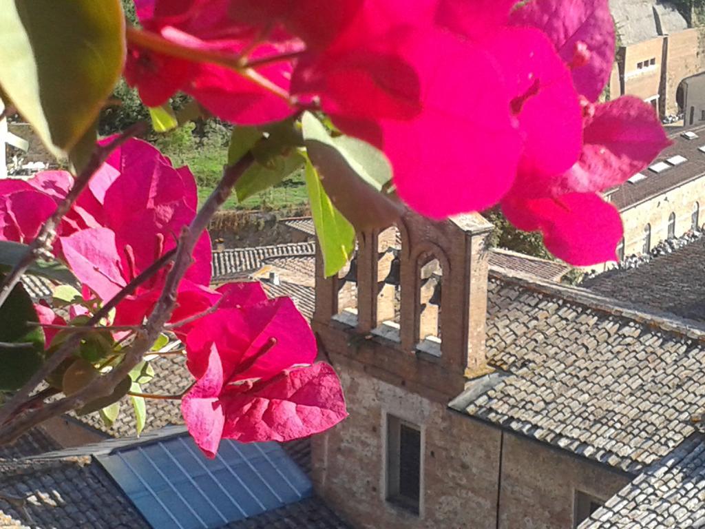 Residenza D'Epoca Campo Regio Relais Bed & Breakfast Siena Luaran gambar